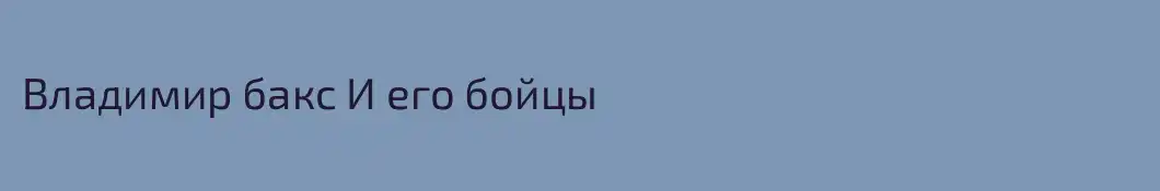 Владимир бакс И его бойцы